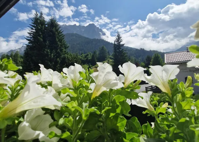 Lägenhet Gaestehaus Schoeneweiss Ehrwald